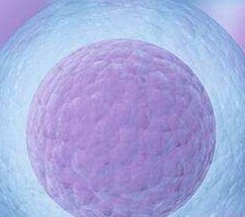 天津公立医院做三代试管费用大概多少钱？