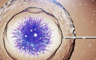 染色体异常去阿尔法国际助孕中心做三代试管婴儿可以吗？需要多少钱？